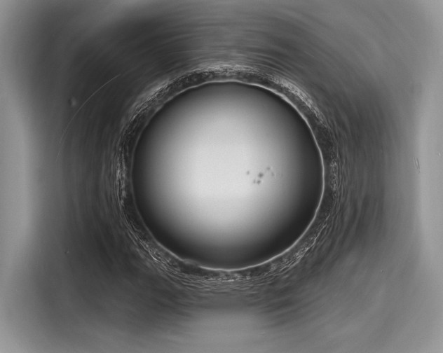 X0000116131111200911301341