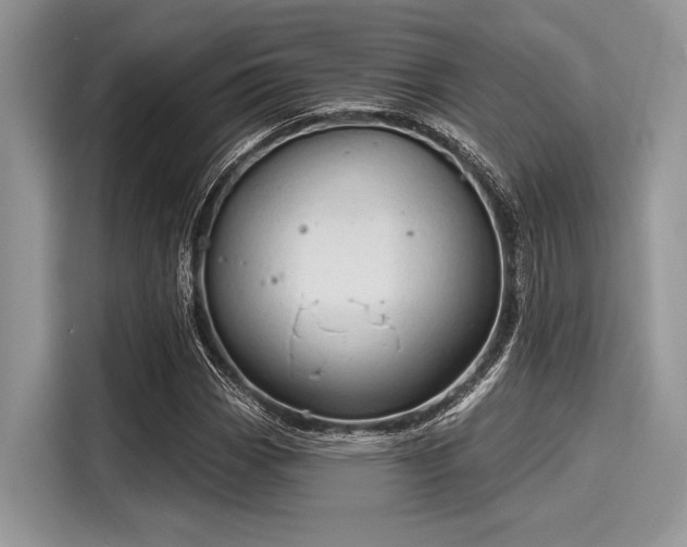 X0000116131113200911301341