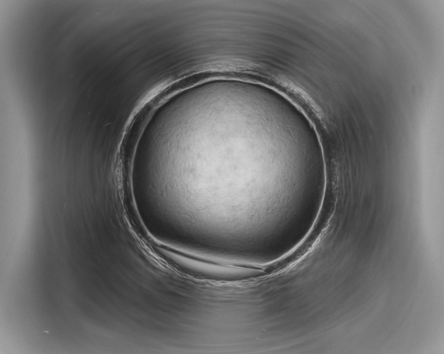 X0000116131114200911301341