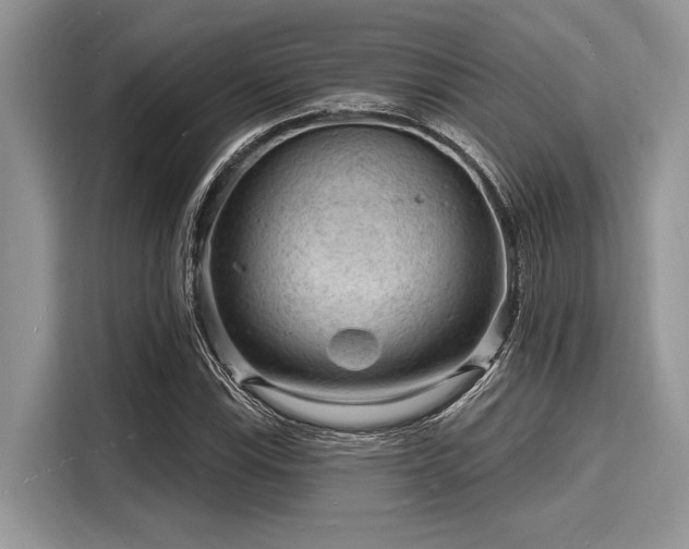 X0000116131115200911301341