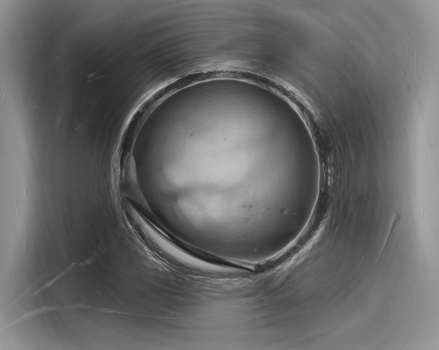 X0000116131117200911301341