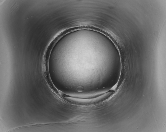 X0000116131118200911301341