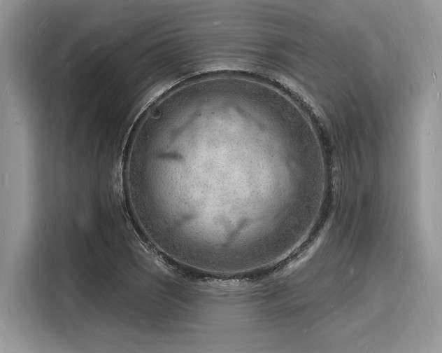 X0000116131121200911301341