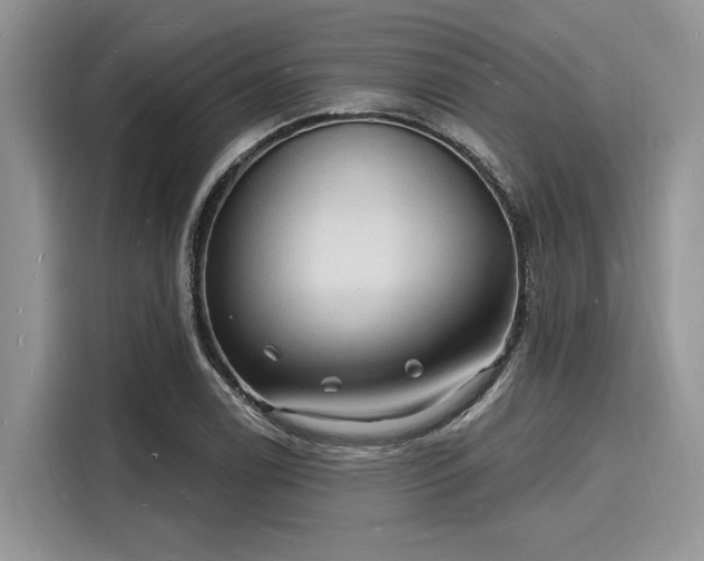 X0000116131122200911301341