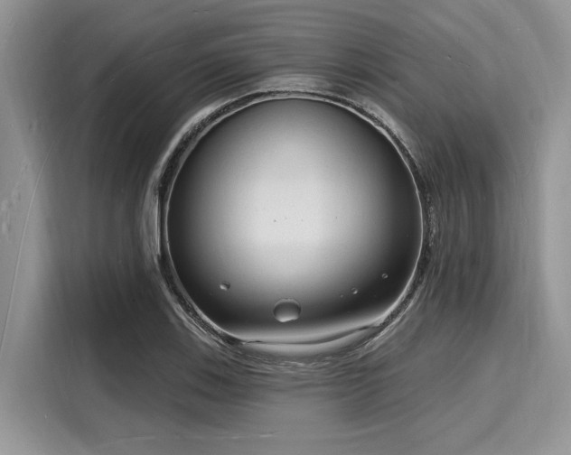 X0000116131123200911301341