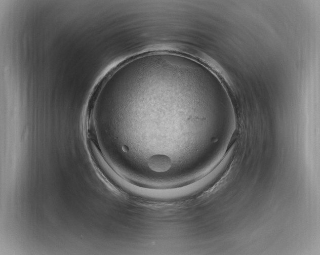 X0000116131127200911301341