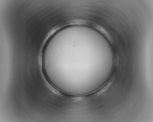X0000116131130200911301342