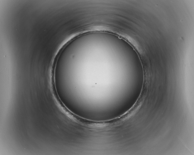 X0000116131134200911301342