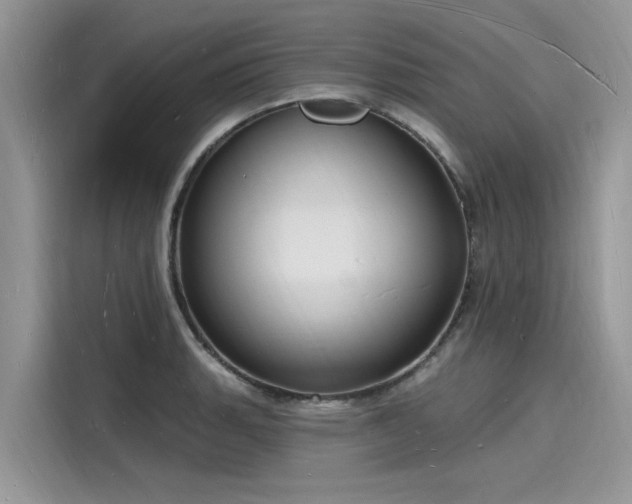 X0000116131135200911301342