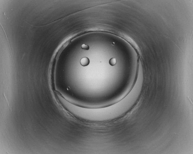 X0000116131138200911301342