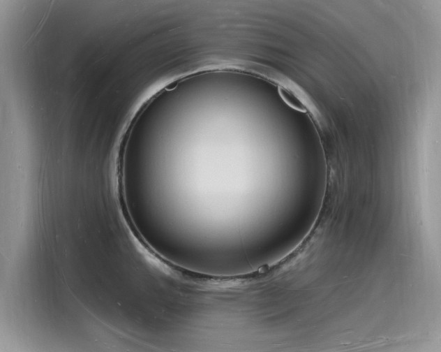 X0000116131143200911301342