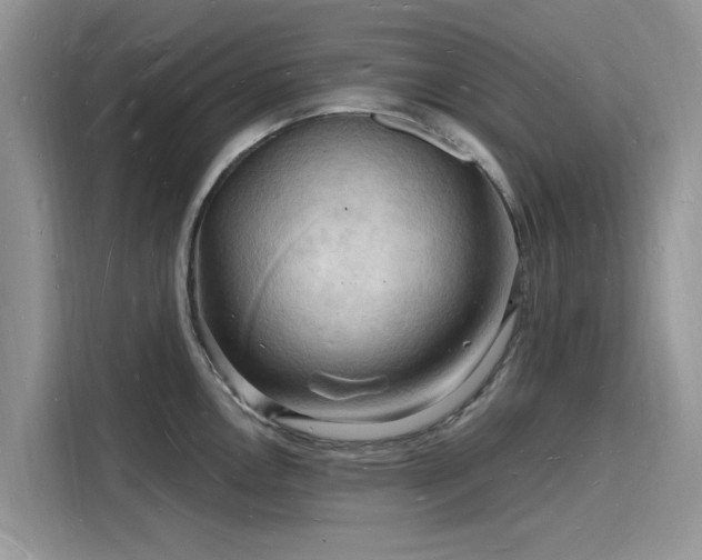 X0000116131146200911301342