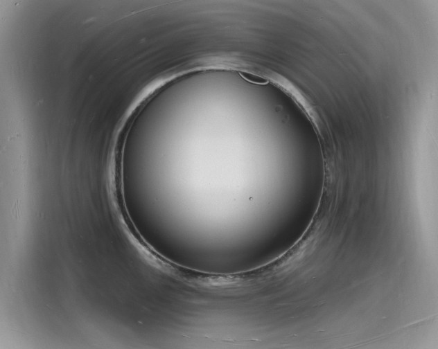 X0000116131147200911301342
