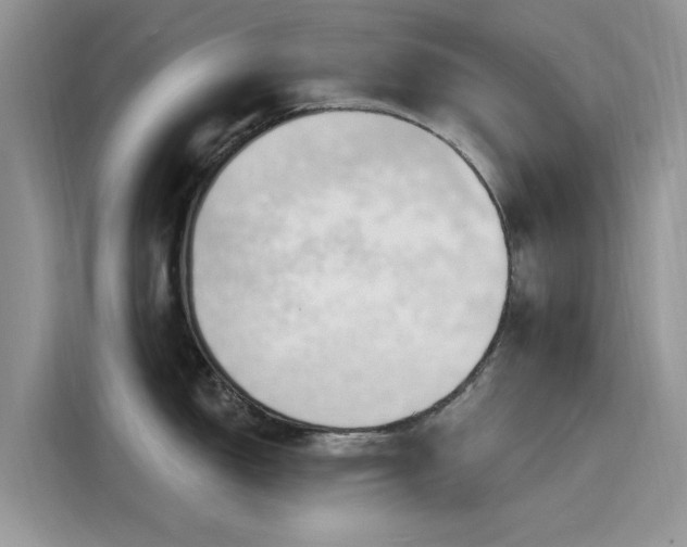 X0000116131150200911301342