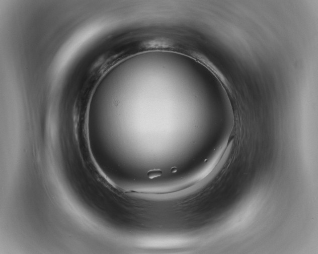 X0000116131151200911301342