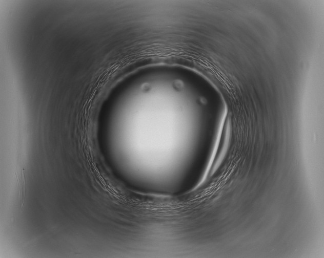 X0000116131153200911301341