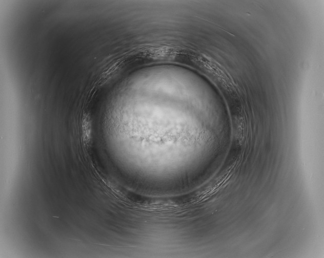 X0000116131154200911301341