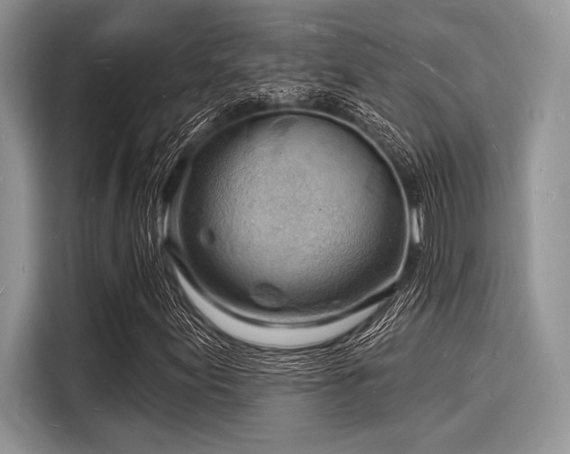 X0000116131155200911301341