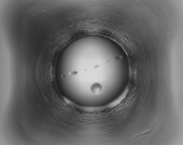 X0000116131156200911301341