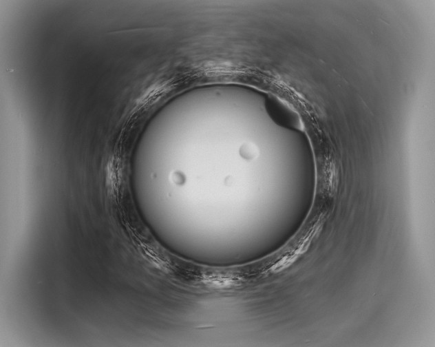X0000116131157200911301341