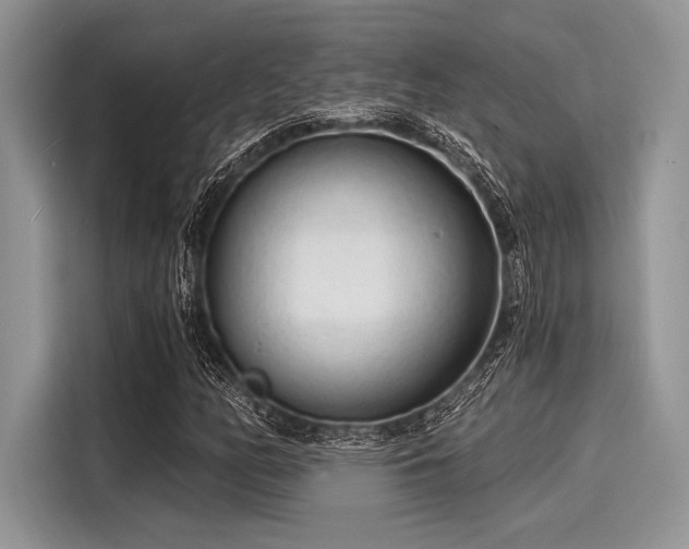X0000116131158200911301341