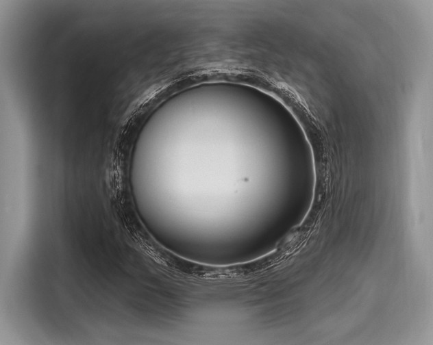 X0000116131159200911301341