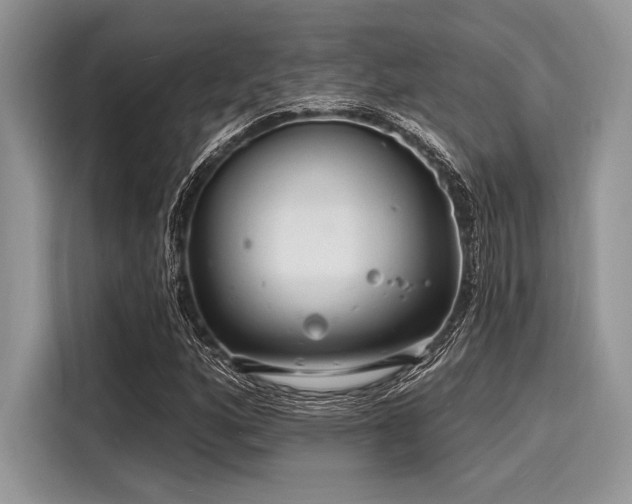 X0000116131160200911301341