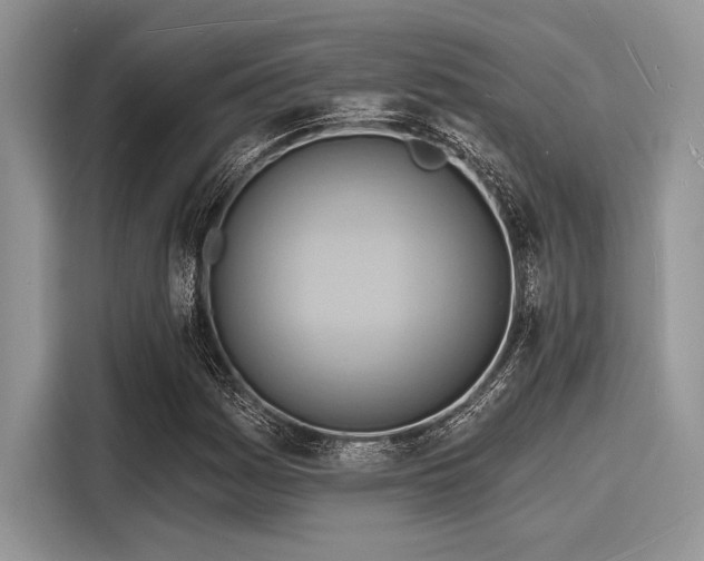 X0000116131161200911301341
