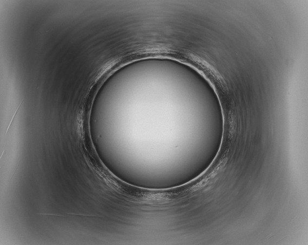 X0000116131162200911301341