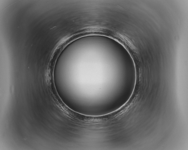 X0000116131164200911301341