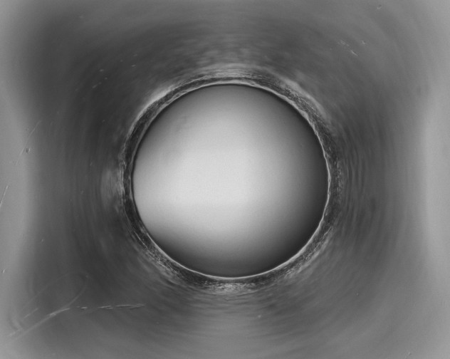 X0000116131166200911301341