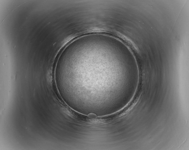 X0000116131170200911301341