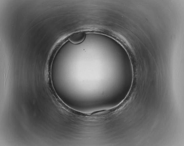 X0000116131172200911301341