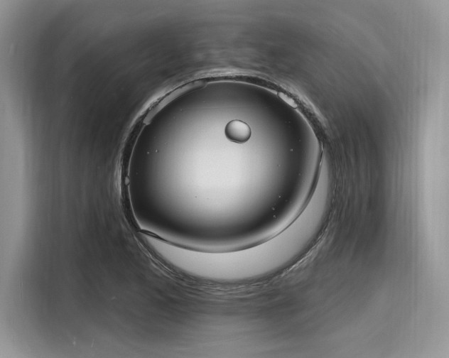 X0000116131173200911301341