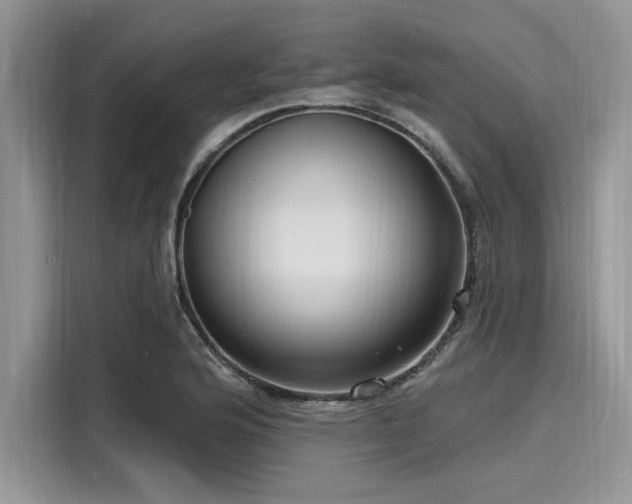 X0000116131176200911301341