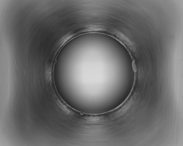 X0000116131177200911301341