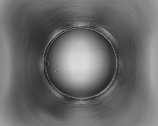 X0000116131178200911301341