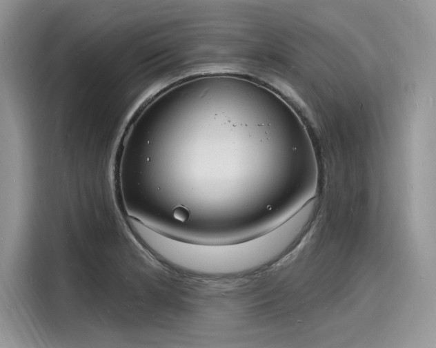 X0000116131181200911301341