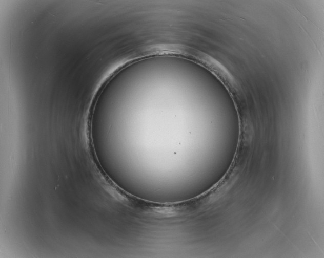 X0000116131182200911301341