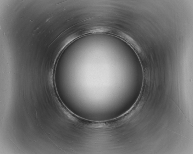X0000116131186200911301341