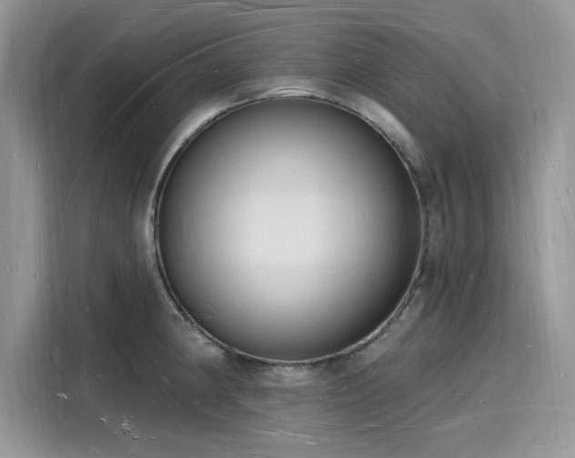 X0000116131190200911301341