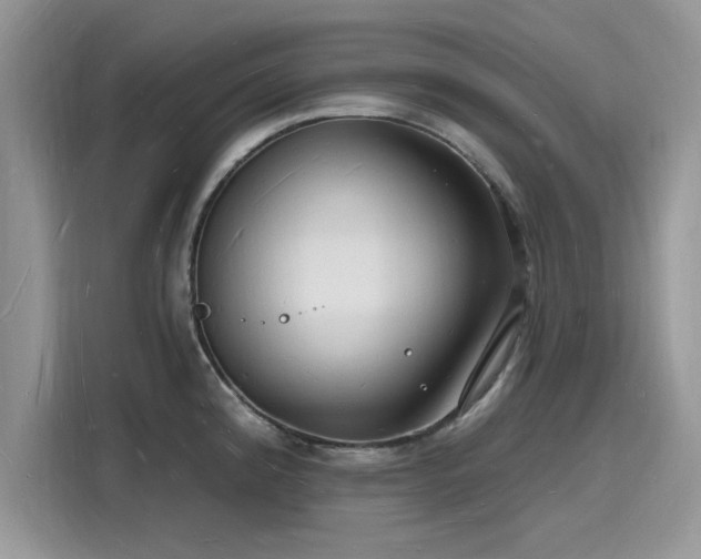 X0000116131192200911301341