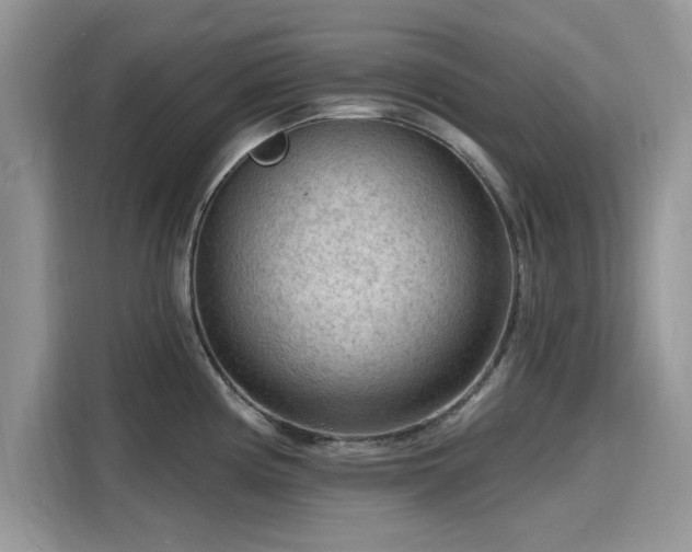 X0000116131194200911301341