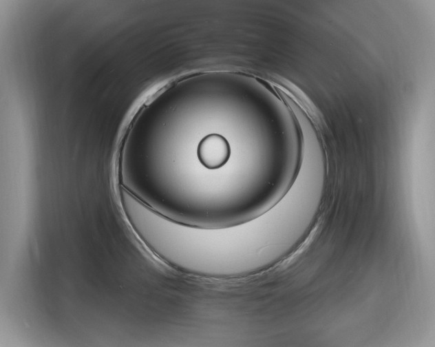 X0000116131196200911301341