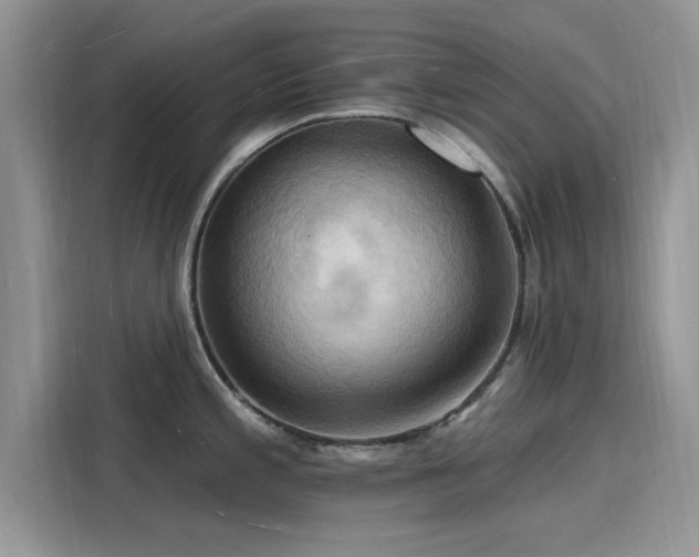 X0000116131197200911301341