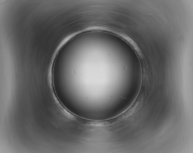 X0000116131199200911301341
