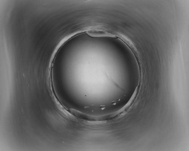 X0000116131200200911301341