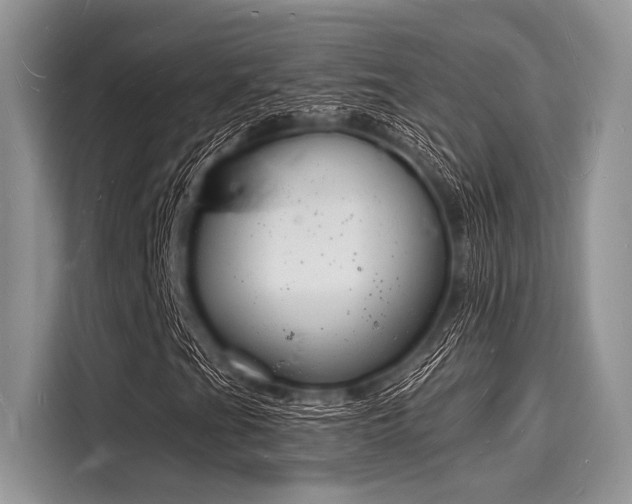 X0000116131201200911301340
