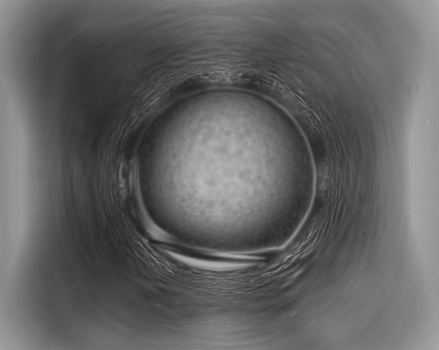 X0000116131202200911301340
