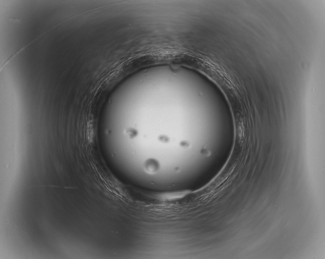 X0000116131204200911301340